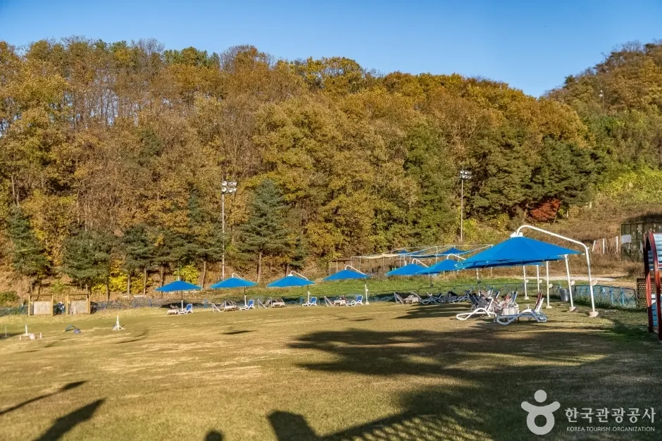 Yangji Pine Pet Park (양지파인펫파크)