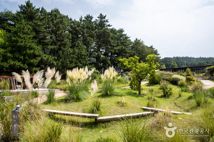 Cheollipo Arboretum (천리포수목원)