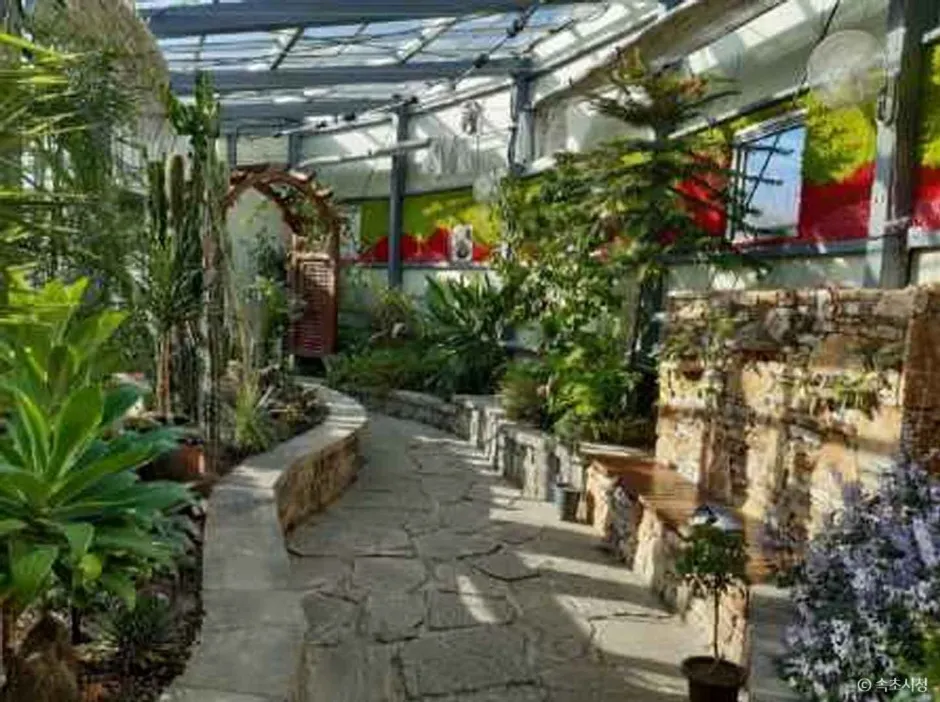 Seoraksan Botanical Garden (설악산 자생식물원)