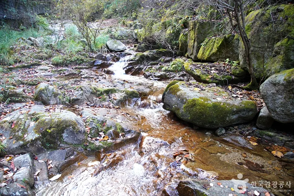 Cheoneunsagyegok Valley (Wonju) (천은사계곡(원주))