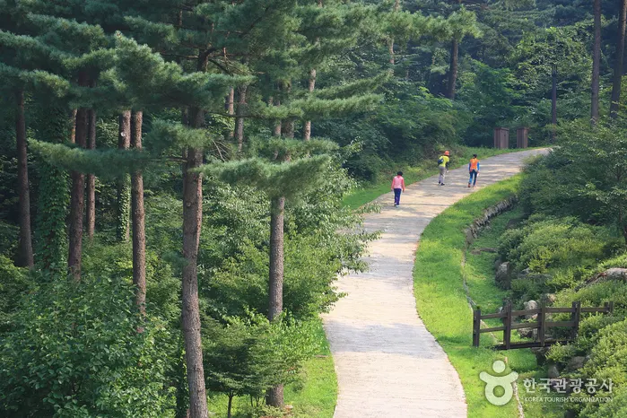 Jatyanggi Purunsup Resort (잣향기푸른숲)