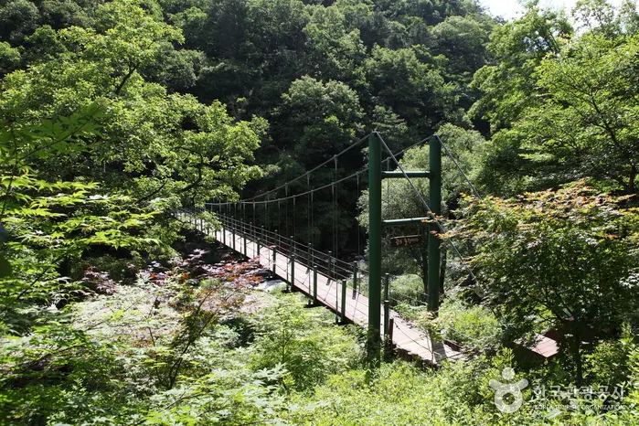 "A Mountain Shaped Like a Peacock?"... Gongjaksan, Gangwon's Distinctive Silhouette Hike