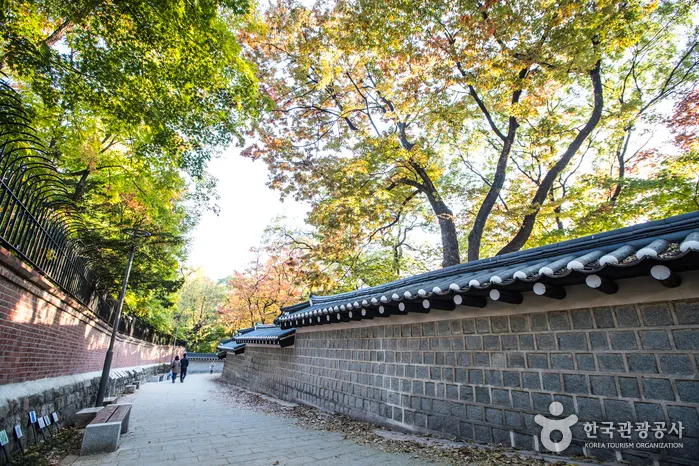 Deoksugung Stone Wall Path (덕수궁 돌담길)