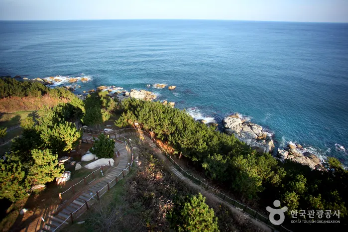 Yeongdeok Sunrise Park (영덕 해맞이공원)