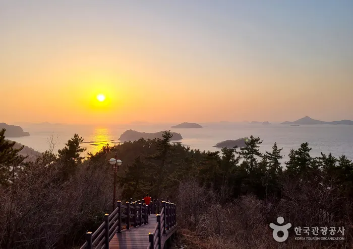 "봄의 기적을 만나다"... 바다가 갈라지고 충성심이 살아 숨 쉬는 진도