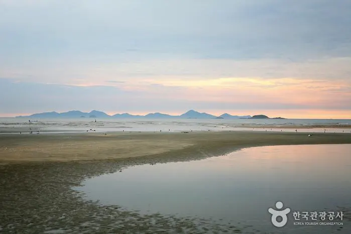 "철분 약수와 함께하는 조용한 봄나들이?"... 부안 동호해수욕장, 가족을 위한 숨은 명소