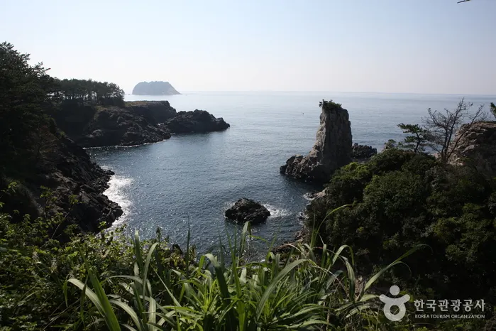 Oedolgae Sea Stack (외돌개(제주))