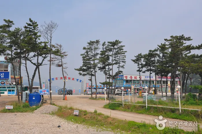 Daebudo Island (대부도)